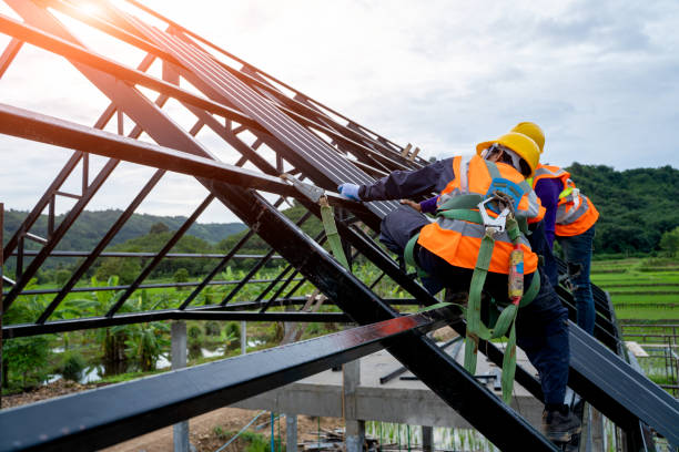 Best Metal Roofing Contractor  in Citrus Springs, FL