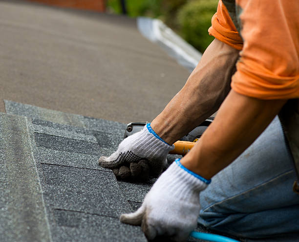Professional Roofing Contractor in Citrus Springs, FL