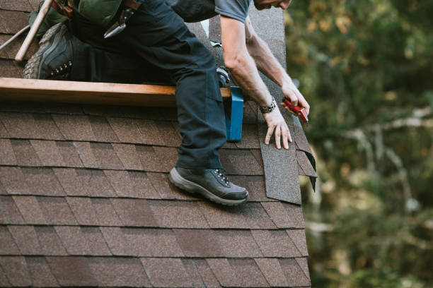 Best New Roof Installation  in Citrus Springs, FL